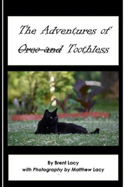 The Adventures of Toothless|Matthew Lacy