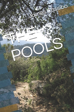The Pools|James Edward Cassibo