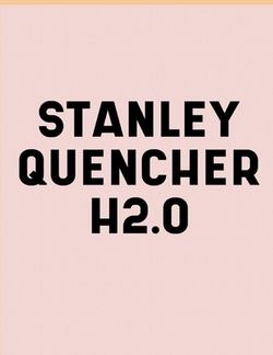 Stanley Quencher H2.O Flowstate Stainless Steel Vacuum Insulated Tumbler 30oz and 40oz Book|Stanley Q. Brain Empire