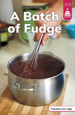 A Batch of Fudge|Laura Stickney