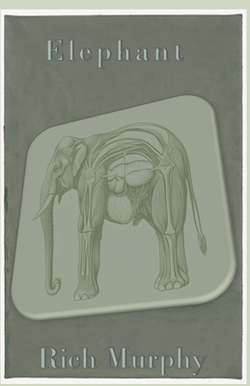 Elephant|Rich Murphy