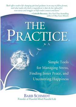 The Practice|Barbara Schmidt