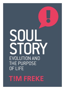 Soul Story|Tim Freke