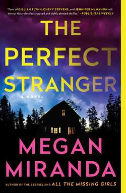The Perfect Stranger|Megan Miranda