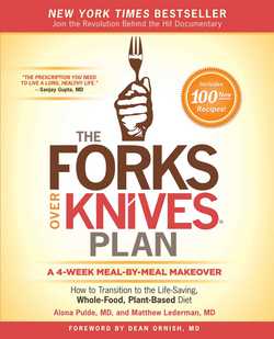 The Forks Over Knives Plan|Alona Pulde