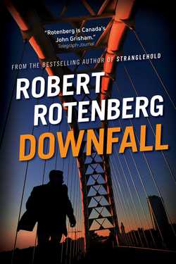 Downfall|Robert Rotenberg