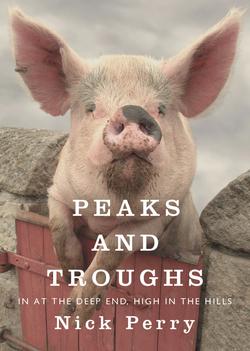 Peaks and Troughs|Nick Perry