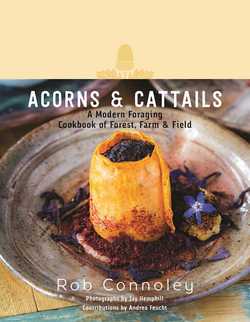 Acorns & Cattails|Rob Connoley