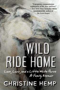 Wild Ride Home|Christine Hemp