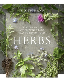 Herbs|Judith Hann