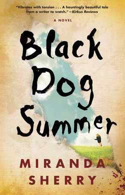 Black Dog Summer|Miranda Sherry