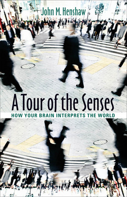 A Tour of the Senses|John M. Henshaw