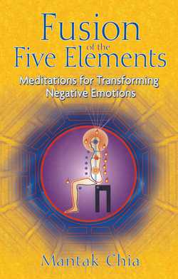 Fusion of the Five Elements|Mantak Chia