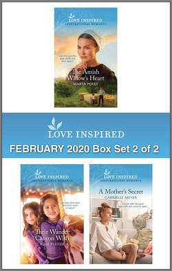 Harlequin Love Inspired February 2020 - Box Set 2 of 2|Marta Perry