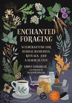 Enchanted Foraging|Ebony Gheorghe