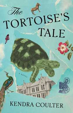 The Tortoise's Tale|Kendra Coulter