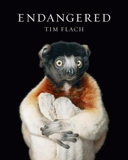 Endangered|Tim Flach