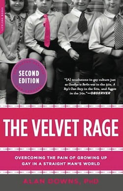 The Velvet Rage|Alan Downs