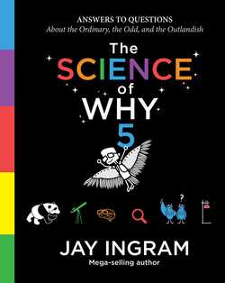 The Science of Why, Volume 5|Jay Ingram