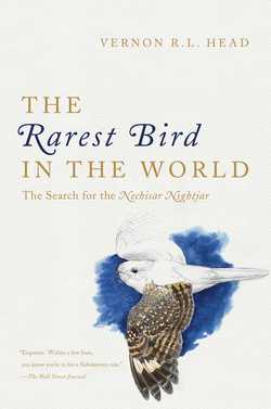 The Rarest Bird in the World|Vernon R. L Head