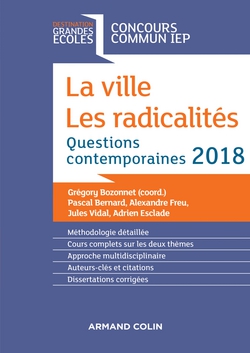 La ville. Les radicalités|Grégory Bozonnet