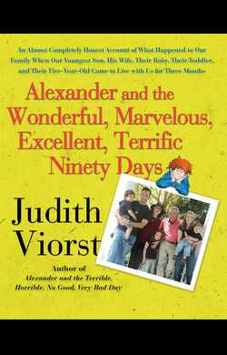 Alexander and the Wonderful, Marvelous, Excellent, Terrific Ninety Days|Judith Viorst