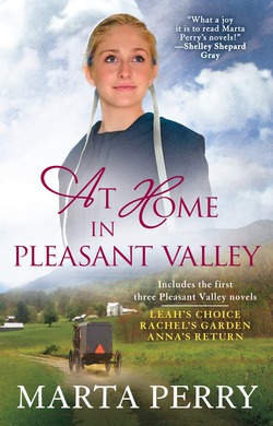 At Home in Pleasant Valley|Marta Perry