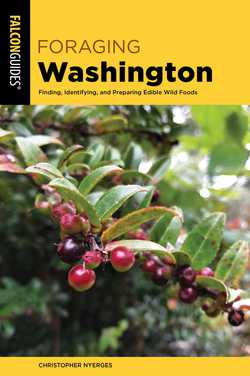 Foraging Washington|Christopher Nyerges